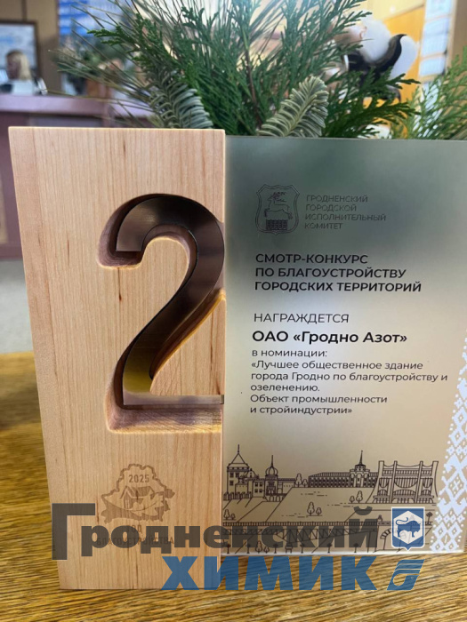 Городской смотр-конкурс по благоустройству_2 место.jpeg